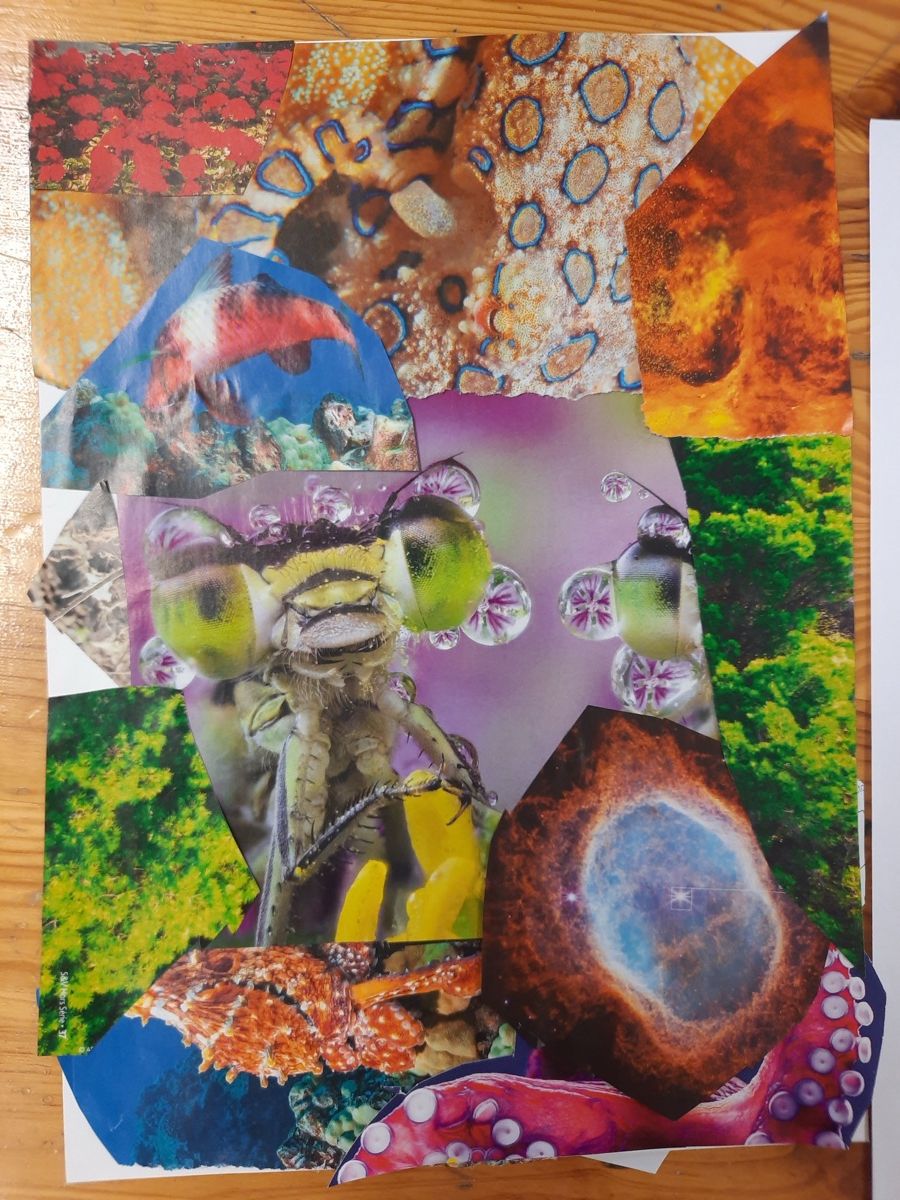 Production artistique réalisée en atelier : collage aux couleurs vives
